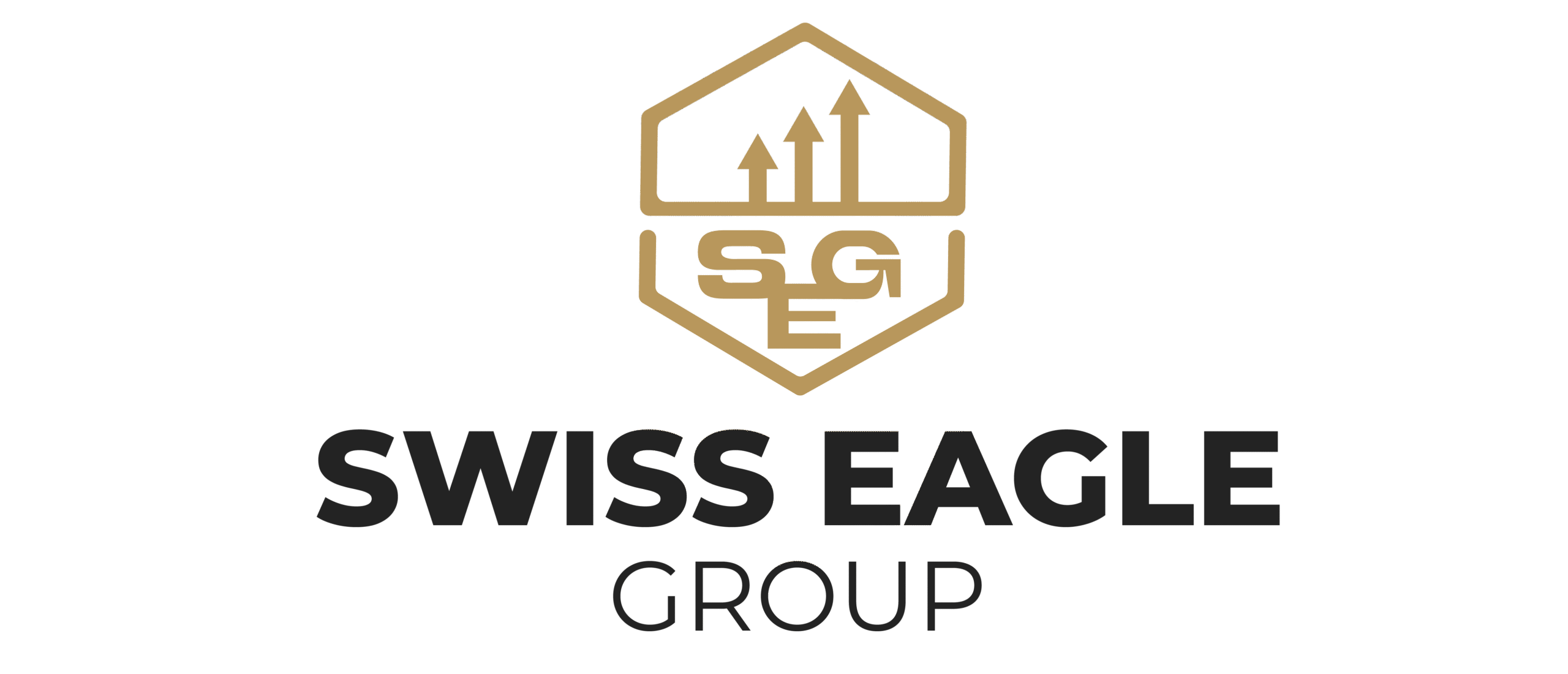 Swiss Eagle Logo-01